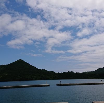 kamojj2's profile picture. 