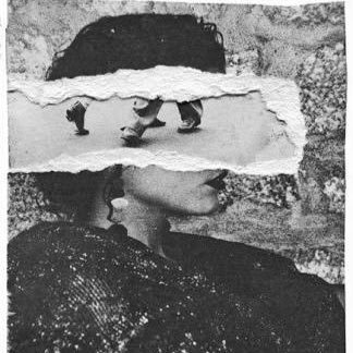 pandasandbanana's profile picture. From the river to the sea 🇵🇸