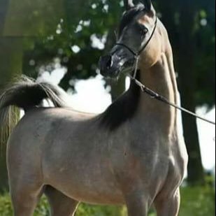 k4xHXZI8UQbERRf's profile picture. الثقة