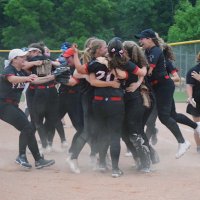 Divine Child HS Softball (@softballdchs) 's Twitter Profile