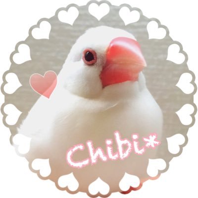 🐣Yuyu×Bun's🐣さんのプロフィール画像
