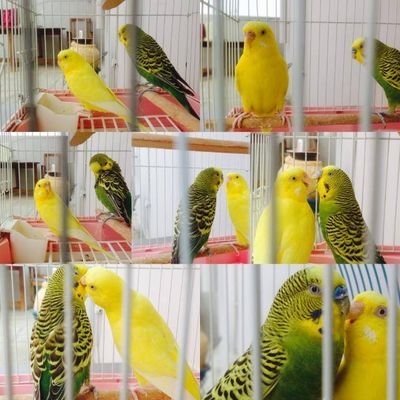 SriDivy53935763's profile picture. 