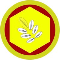 GetSeeds - SeedersBlock (@getseedsgsd) 's Twitter Profile Photo GetSeeds - SeedersBlock (@getseedsgsd) 's Twitter Profile Photo