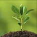 Journal of Plant Science (@journalplant) Twitter profile photo Journal of Plant Science (@journalplant) Twitter profile photo