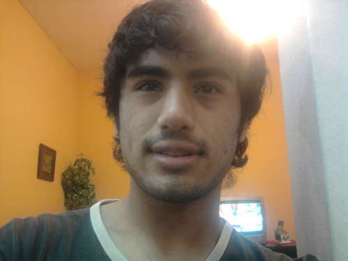 paulohliv's profile picture. 