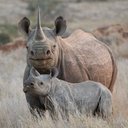 Abbie watson - @WatsonWade - Twitter