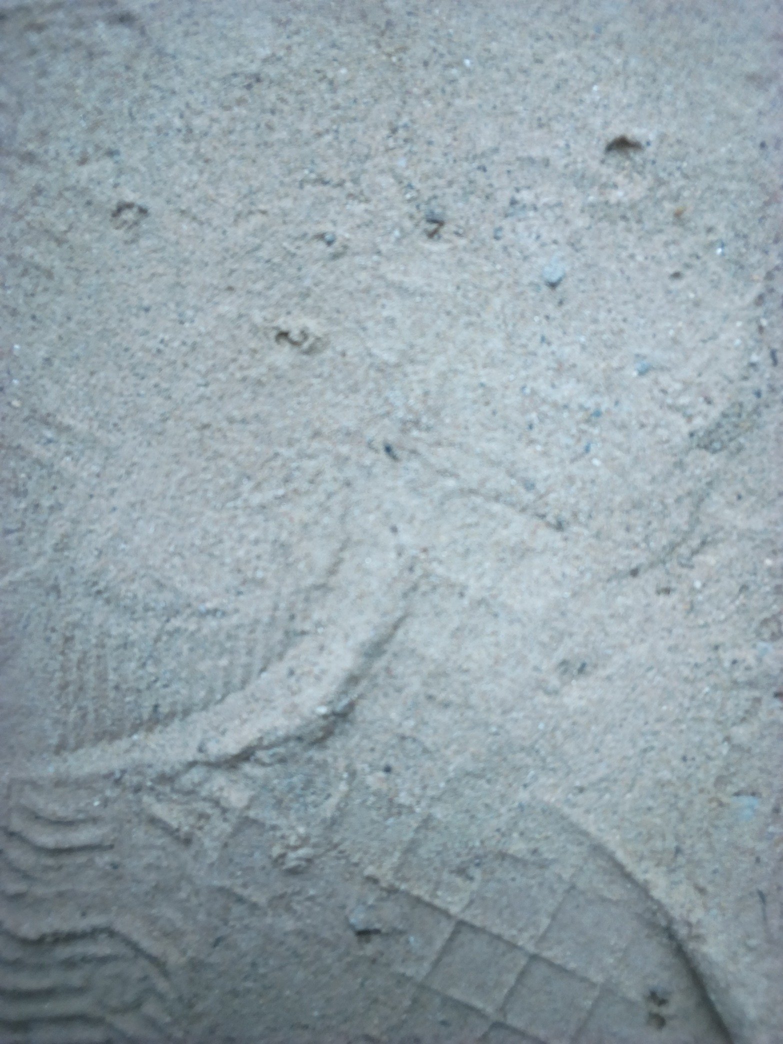 Abubaka44467291's profile picture. Biologist