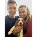 Tom Dalton - @Tomdalton89 - Twitter