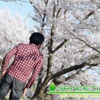 spacetime (@spacetime) 's Twitter Profile Photo spacetime (@spacetime) 's Twitter Profile Photo