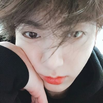김남준 김석진 민윤기 정호석 박지민 김태형 전정국 방탄소년단 💜