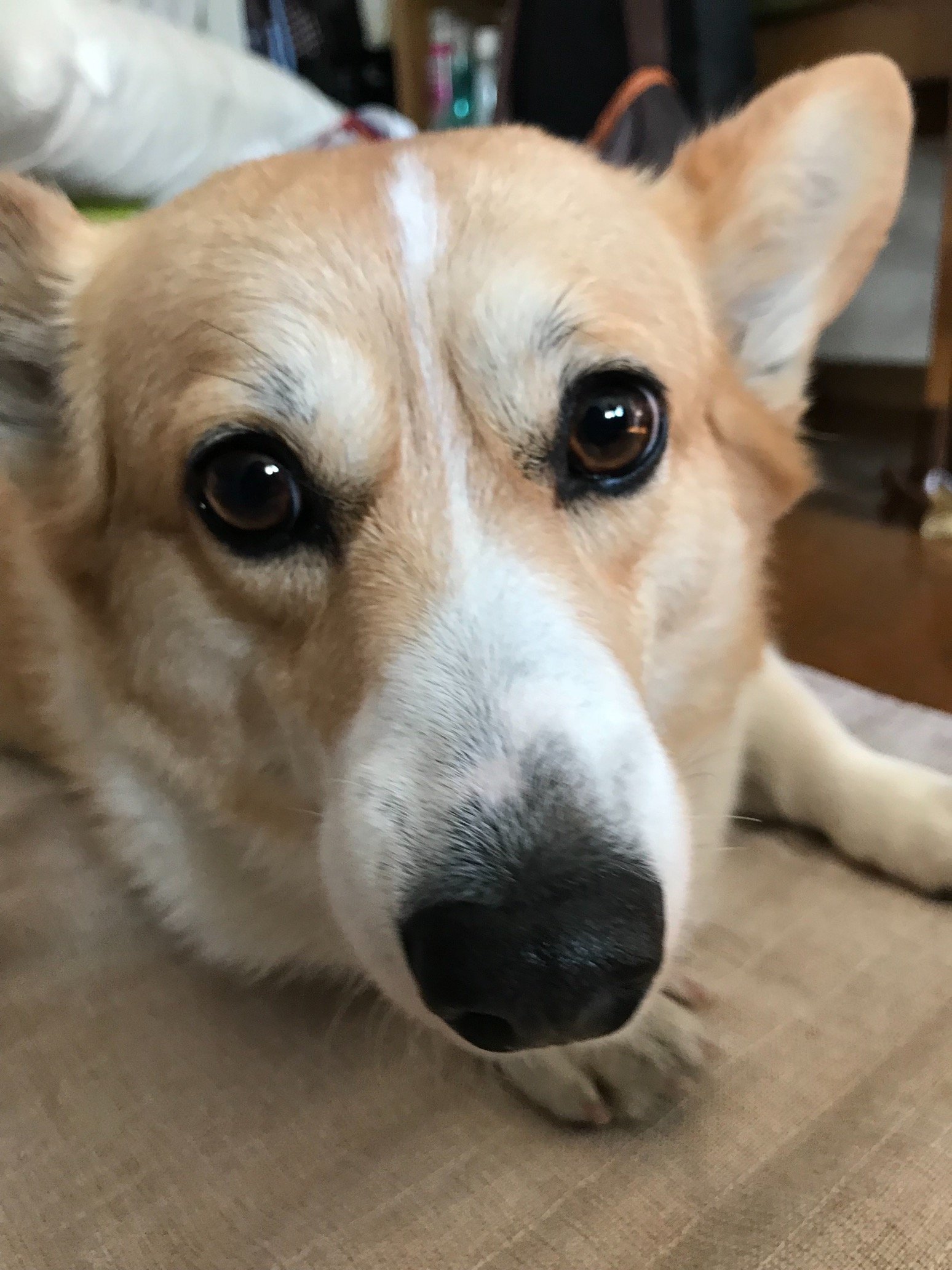 you60559980's profile picture. 