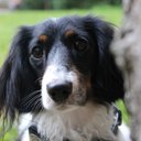 Leslie A - @LeslieJean1965 - Twitter