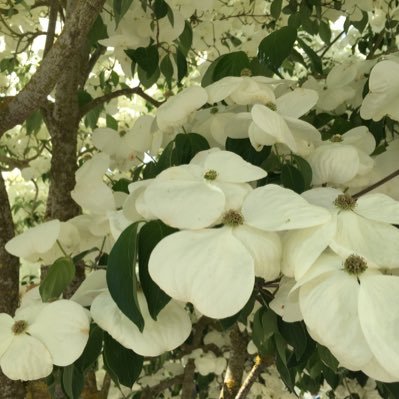 magicstudio4191's profile picture. 