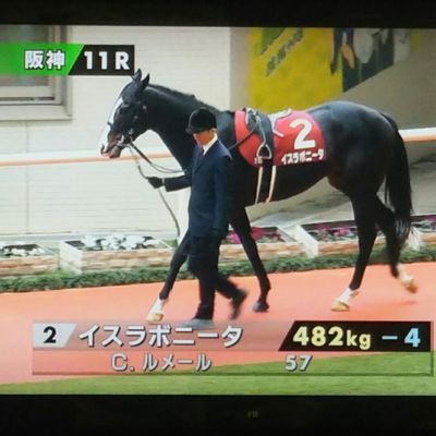 競馬ファン歴30年、職業は普通未満のサラリーマン。馬券が当たっても、外れても、競馬は楽しい(まぁ圧倒的に負けが多いですが)。ちなみに世代的にはナリタブライアン、最初にテレビで競走馬の名前を知ったのはミホシンザン。そんなわけでシンザンも好きです。