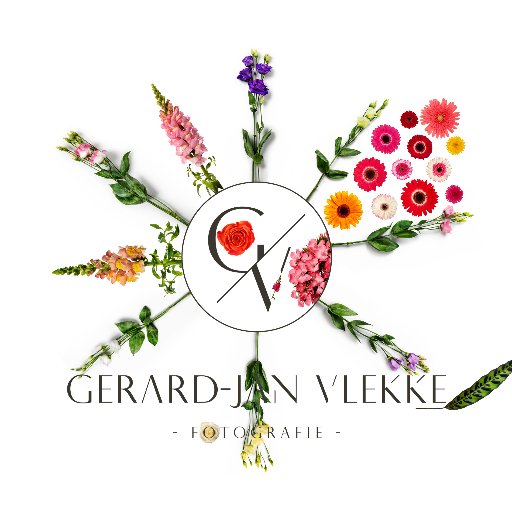 FotostudioGJV's profile picture. 'Schrijven met licht'