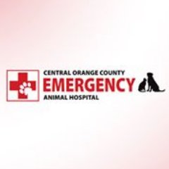 The veterinarians at Central Orange County Emergency Animal Hospital are highly trained & have extensive experience treating a wide range of animal emergencies.