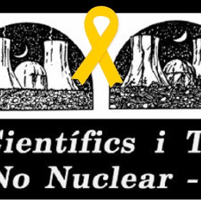 El GCTPFNN vol que els sistemes energètics es basin en els fluxos d'energia que, de forma natural, flueixen pel planeta i que s'abandoni l'energia nuclear.