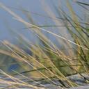 Melissa Guyer - @melissaguyer - Twitter