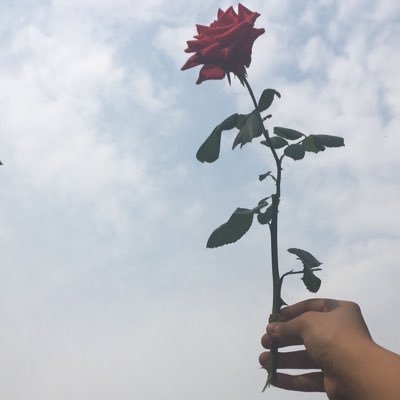 panduan7's profile picture. 