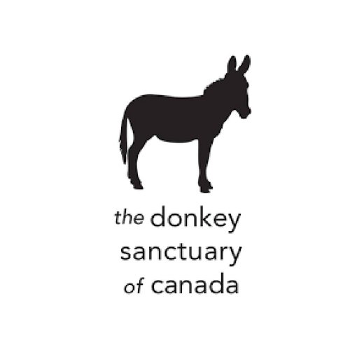 The Donkey Sanctuary of Canada (DSC) provides a refuge for donkeys and mules who have been neglected and abused, or whose owners can no longer care for them.
