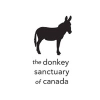 The Donkey Sanctuary of Canada(@DonkeySancCa) 's Twitter Profile Photo