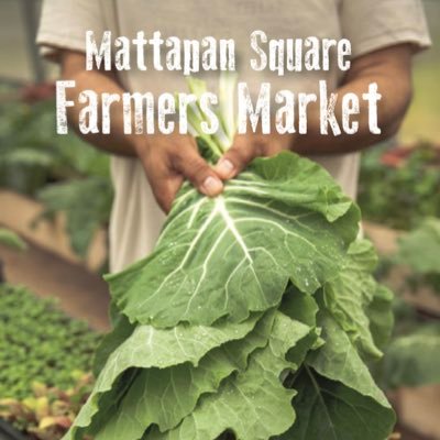 Mattapan Square Farmers Market, run by Mattapan Food and Fitness Coalition, opens Saturday July 14th, 2018. Follow for updates!!