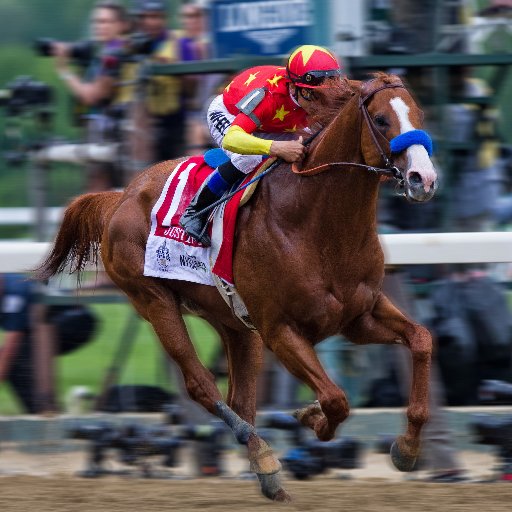 Kentucky Thoroughbred Association Profile