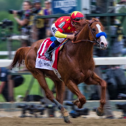 Official Twitter account of the KY Thoroughbred Association (KTA) and the KY Thoroughbred Owners and Breeders (KTOB)