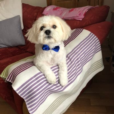 shanpaul27's profile picture. 