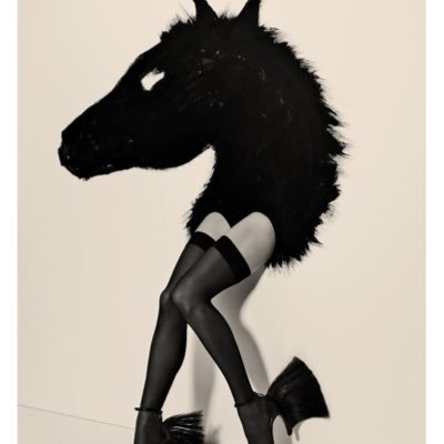 Ciervodemetilo's profile picture. 