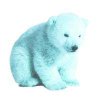 Association Albi (@albiassociation) 's Twitter Profile