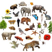 Miles Richardson (@findingnature) 's Twitter Profile Photo Miles Richardson (@findingnature) 's Twitter Profile Photo
