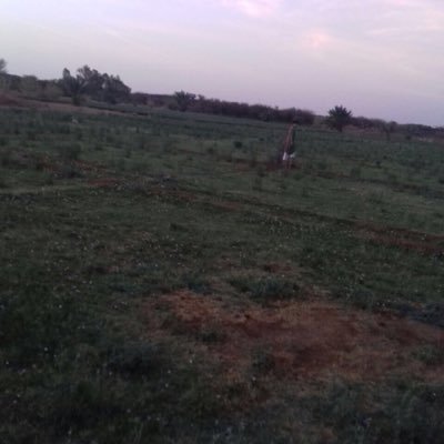 G3kUa7utzYE5JnK's profile picture. 