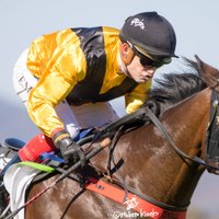 Minervini Racing (@minerviniracing) 's Twitter Profile
