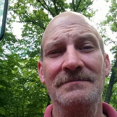 lariault's profile picture. 