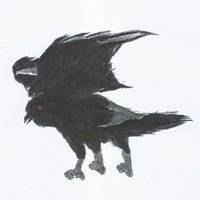 酸素喰う一文a.k.a.袖ビーム (@kdfmimon) 's Twitter Profile