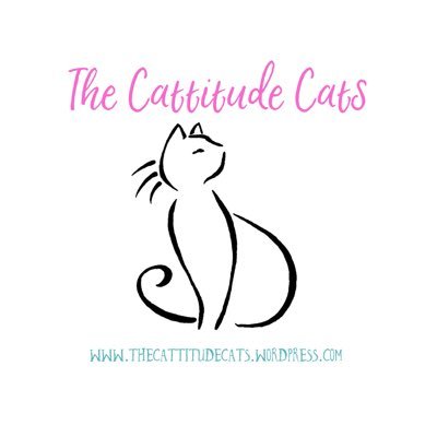 Porsche and Shelby- cat bloggers with Cattitude