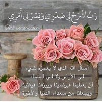 abdallah (@w7uuzlfsxo2ceec) 's Twitter Profile
