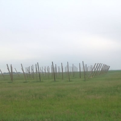 Hop farm started in the spring of 2018. Growing Cascade, Nugget, Centennial, and Magnum varieties, also growing grains , flax, dry beans and broilers