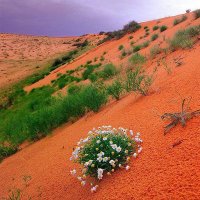 F.A.M فهد (@fam26438473) 's Twitter Profile Photo