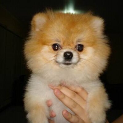techmagnate's profile image