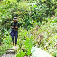 Kevin Guzman (@kevinguzlop) 's Twitter Profile