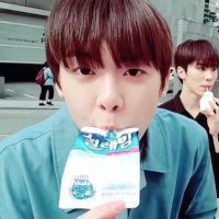 폴라로하 👻✨ (@jinjinjpeg) 's Twitter Profile