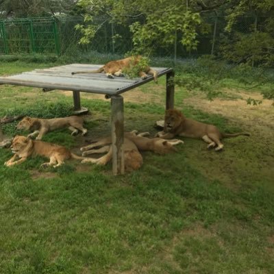 25082chy's profile picture. 