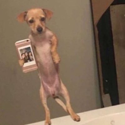 nely43288180's profile picture. 📸:nelymonroyy                               👻:nmonroy73