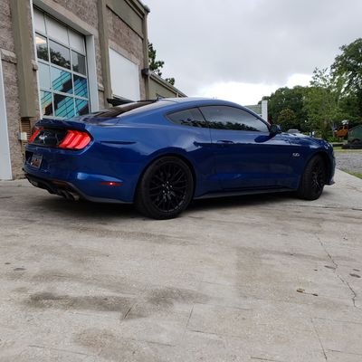 @mtpleasanttint