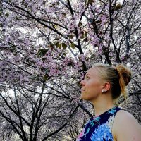Paula Puistola (@paulapuistola) 's Twitter Profile