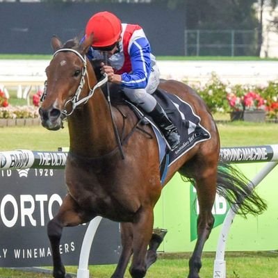 Racing stable in Canberra