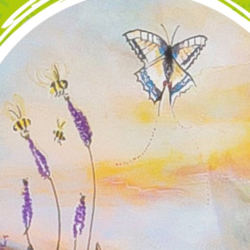 celharebrate's profile picture. Sponsored by @sqhost, "Hare" to celebrate Norfolk. Created by @PFlynnArtist and will be sited at Chapelfield Plain until 08/09/19 for @GoGoHares2018 trail.