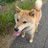 長野県の歴史を探し求めてのTwitterプロフィール画像